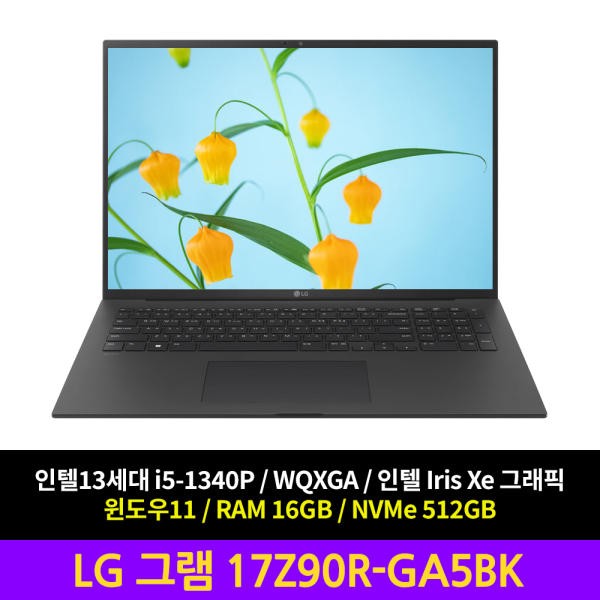 LG전자 그램17 17Z90R-GA5BK